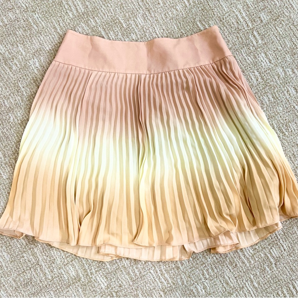 Ann Taylor pleated skirt